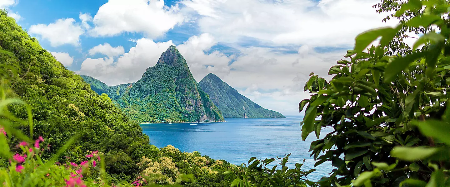 Tropical Cruise